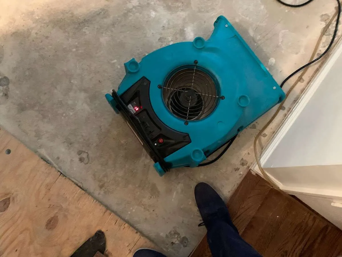 Air mover drying subfloor during Commercial Water Damage Restoration in Tuscaloosa